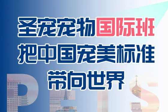助中国宠物美容技术出海，圣宠宠物美容“国际班”启动