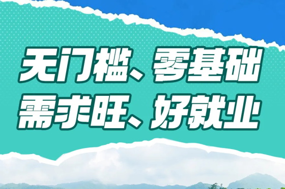 暑期逆袭丨不“卷”也能弯道超车的宠物美容行业真的香!