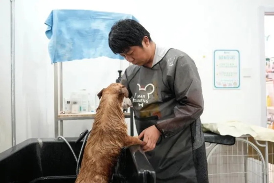 从资深铲屎官到宠物店老板：一个90后宝爸的创业逆袭