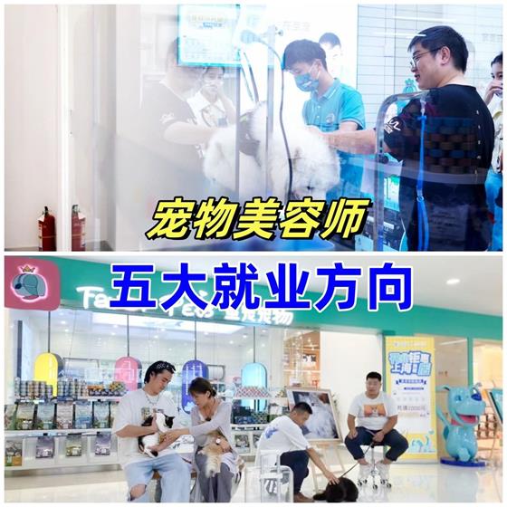 毕业就能月入过万？宠物美容师这五大就业方向太香了