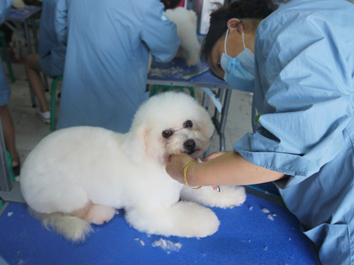 42期美容班综合美容实操课