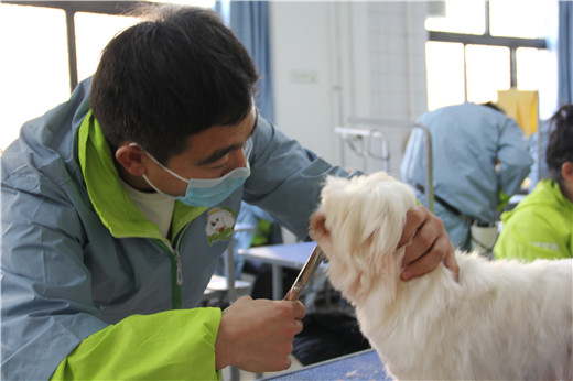 51期美容班综合美容实操课