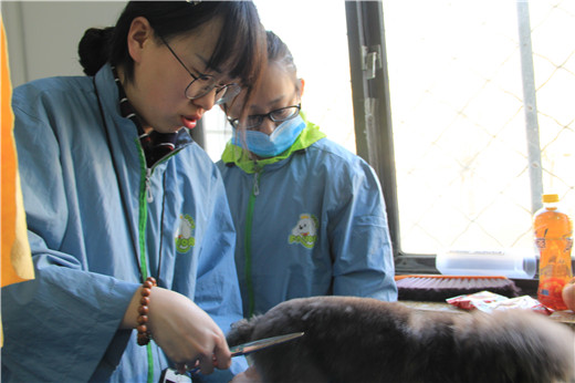 51期美容班综合美容实操课